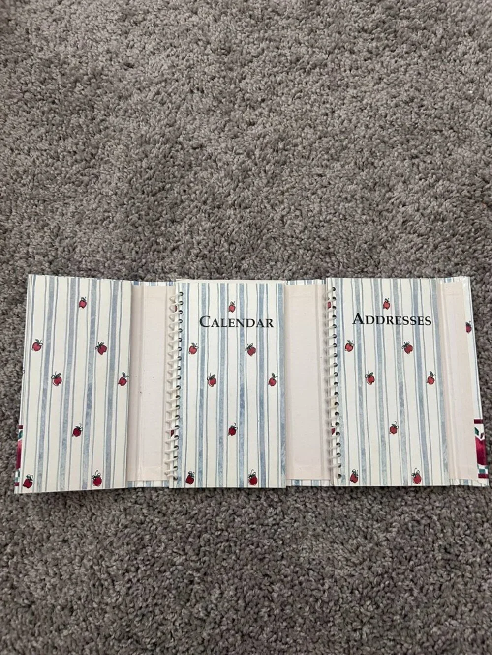 Vintage 1990's Apples 3 Fold Organizer and Address Book Spiral